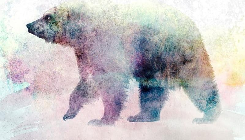 Carta da parati - Lonely Bear in Carta da parati Collezione Casa - Trebisacce, commercioVirtuoso.it