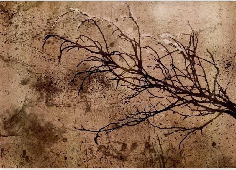 Carta da parati - Rickety Cherry Tree in Carta da parati Collezione Casa - Trebisacce, commercioVirtuoso.it