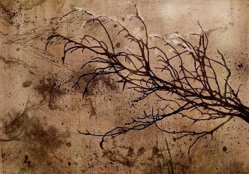 Carta da parati - Rickety Cherry Tree in Carta da parati Collezione Casa - Trebisacce, commercioVirtuoso.it