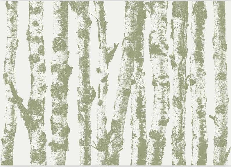 Carta da parati - Stately Birches - Third Variant in Carta da parati Collezione Casa - Trebisacce, commercioVirtuoso.it
