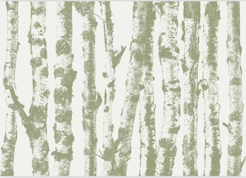 Carta da parati - Stately Birches - Third Variant in Carta da parati Collezione Casa - Trebisacce, commercioVirtuoso.it