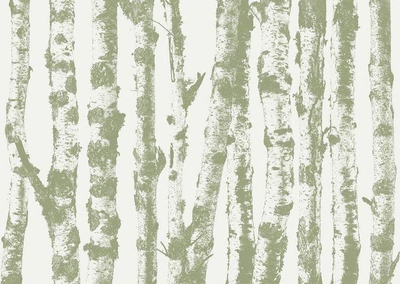 Carta da parati - Stately Birches - Third Variant in Carta da parati Collezione Casa - Trebisacce, commercioVirtuoso.it