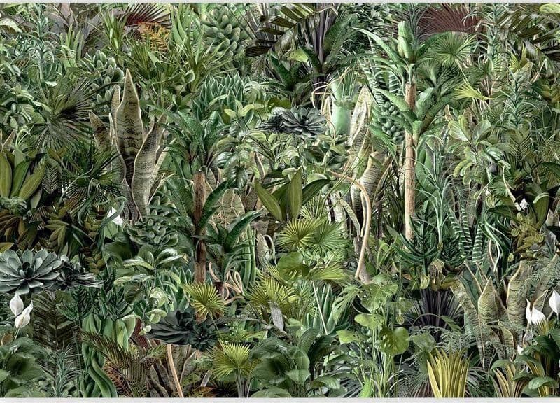 Carta da parati - Richness of Jungle in Carta da parati Collezione Casa - Trebisacce, commercioVirtuoso.it