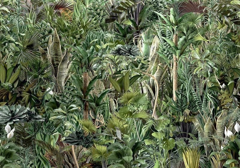 Carta da parati - Richness of Jungle in Carta da parati Collezione Casa - Trebisacce, commercioVirtuoso.it