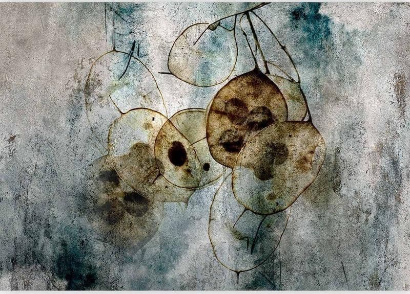 Carta da parati - Nature and Lunaria in Carta da parati Collezione Casa - Trebisacce, commercioVirtuoso.it