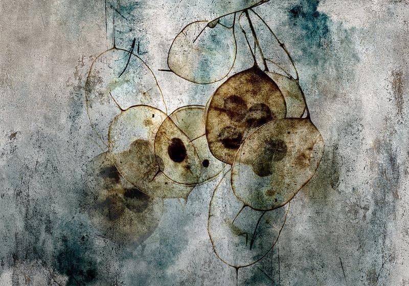 Carta da parati - Nature and Lunaria in Carta da parati Collezione Casa - Trebisacce, commercioVirtuoso.it