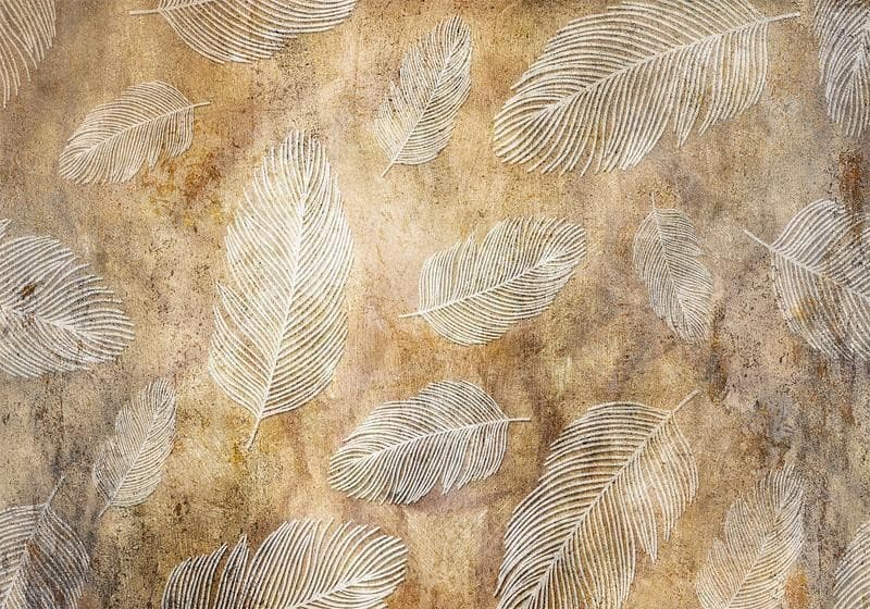 Carta da parati - Flying Feathers in Carta da parati Collezione Casa - Trebisacce, commercioVirtuoso.it
