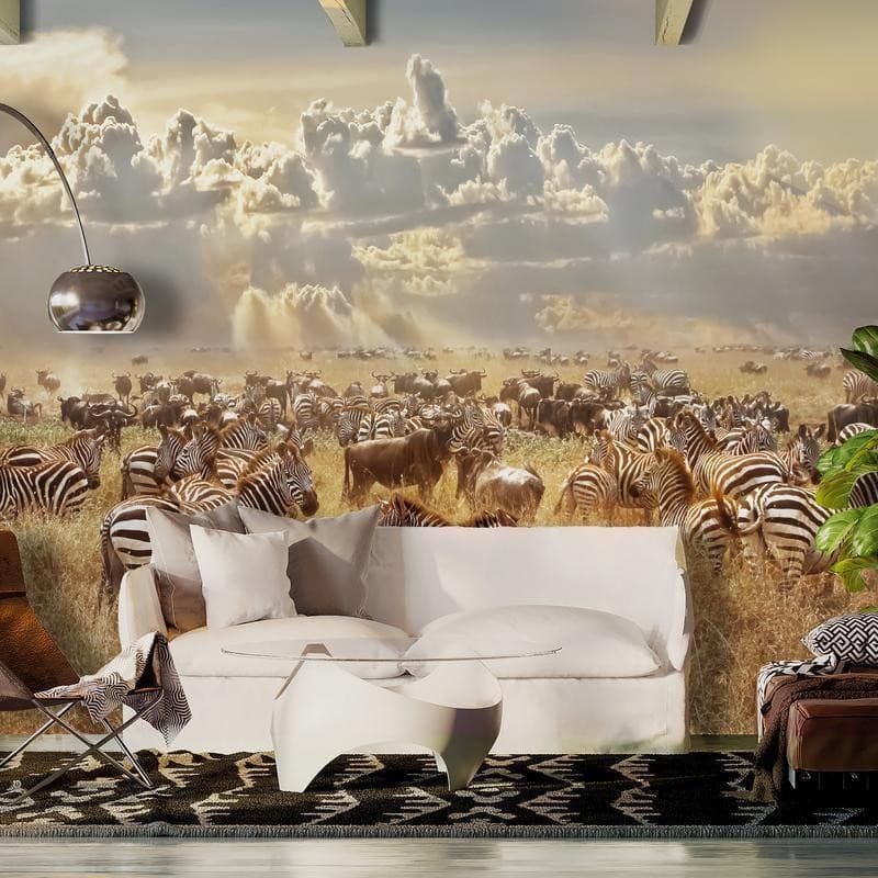 Carta da parati - Zebra Land in Carta da parati Collezione Casa - Trebisacce, commercioVirtuoso.it