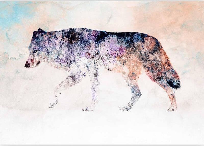 Carta da parati - Lonely Wolf in Carta da parati Collezione Casa - Trebisacce, commercioVirtuoso.it