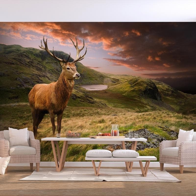 Carta da parati - Deer on Hill in Carta da parati Collezione Casa - Trebisacce, commercioVirtuoso.it