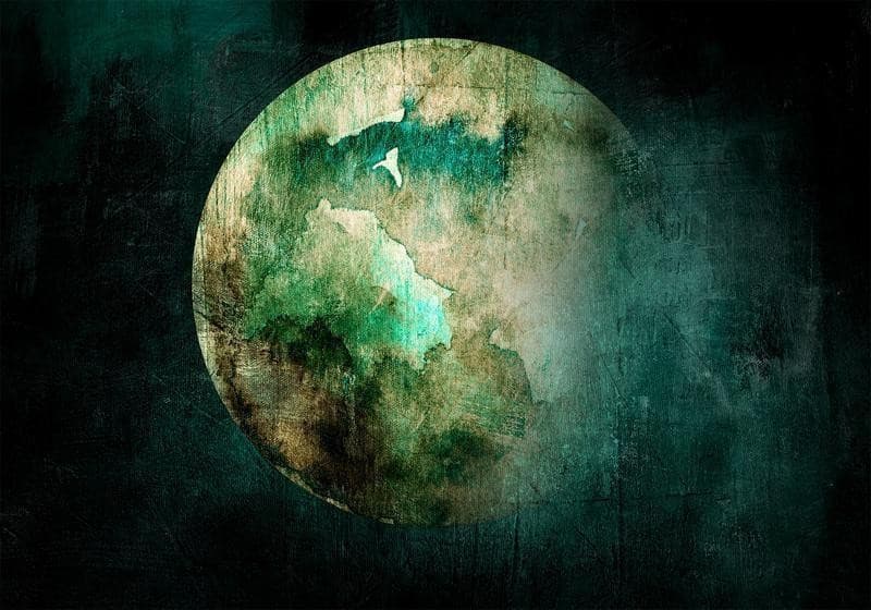 Carta da parati - Green Pangea in Carta da parati Collezione Casa - Trebisacce, commercioVirtuoso.it