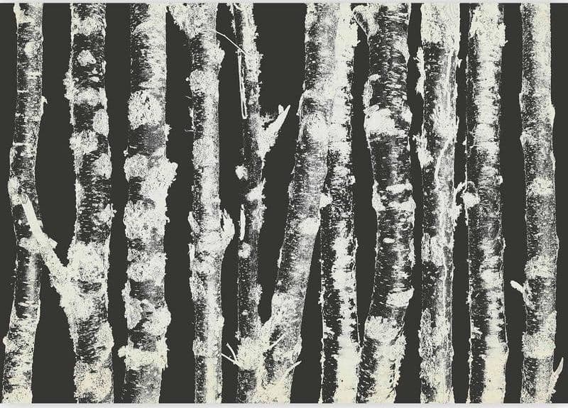 Carta da parati - Stately Birches - Second Variant in Carta da parati Collezione Casa - Trebisacce, commercioVirtuoso.it