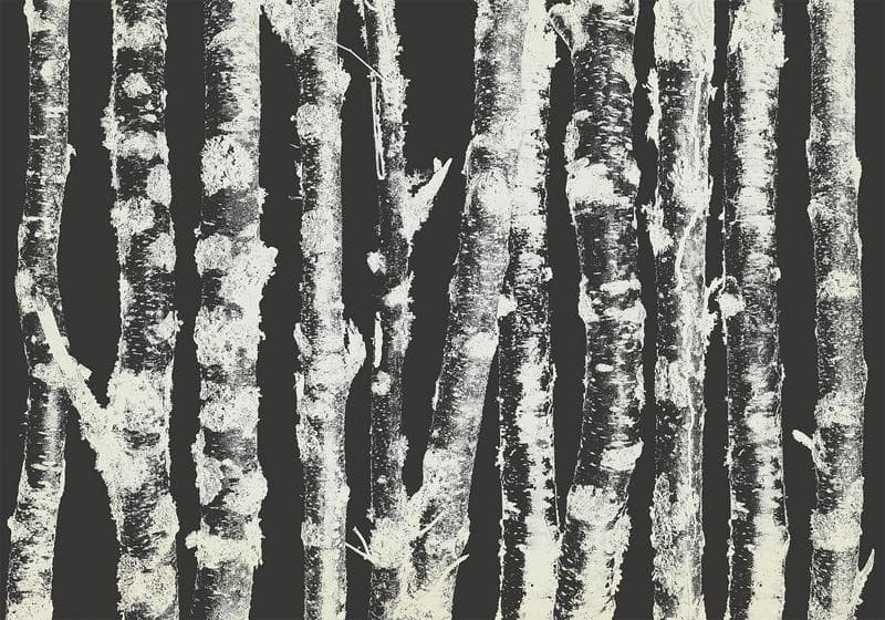 Carta da parati - Stately Birches - Second Variant in Carta da parati Collezione Casa - Trebisacce, commercioVirtuoso.it