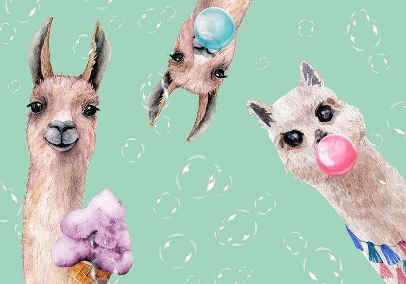Carta da parati - Crazy Llamas in Carta da parati Collezione Casa - Trebisacce, commercioVirtuoso.it