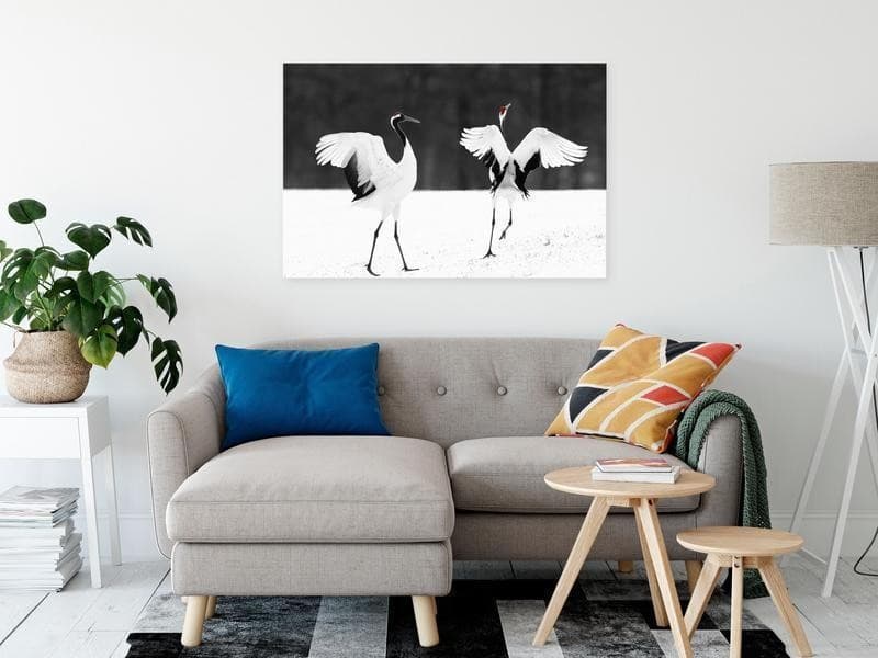 Quadro - Dancing Cranes (1 Part) Wide in Poster e stampe Collezione Casa - Trebisacce, commercioVirtuoso.it