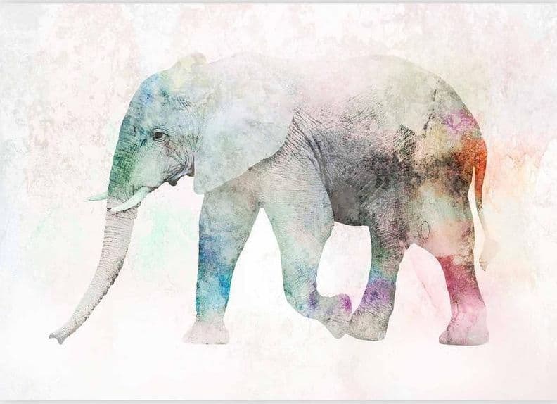 Carta da parati - Painted Elephant in Carta da parati Collezione Casa - Trebisacce, commercioVirtuoso.it