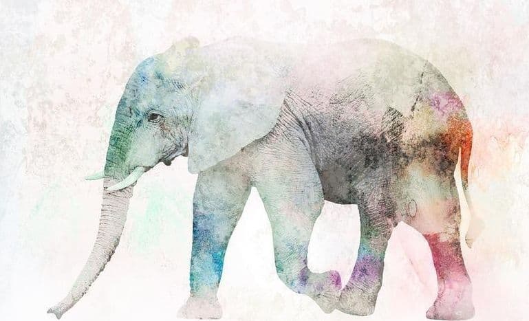 Carta da parati - Painted Elephant in Carta da parati Collezione Casa - Trebisacce, commercioVirtuoso.it