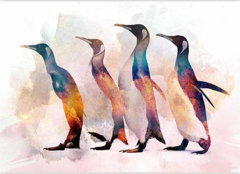 Carta da parati - Penguin Wandering in Carta da parati Collezione Casa - Trebisacce, commercioVirtuoso.it