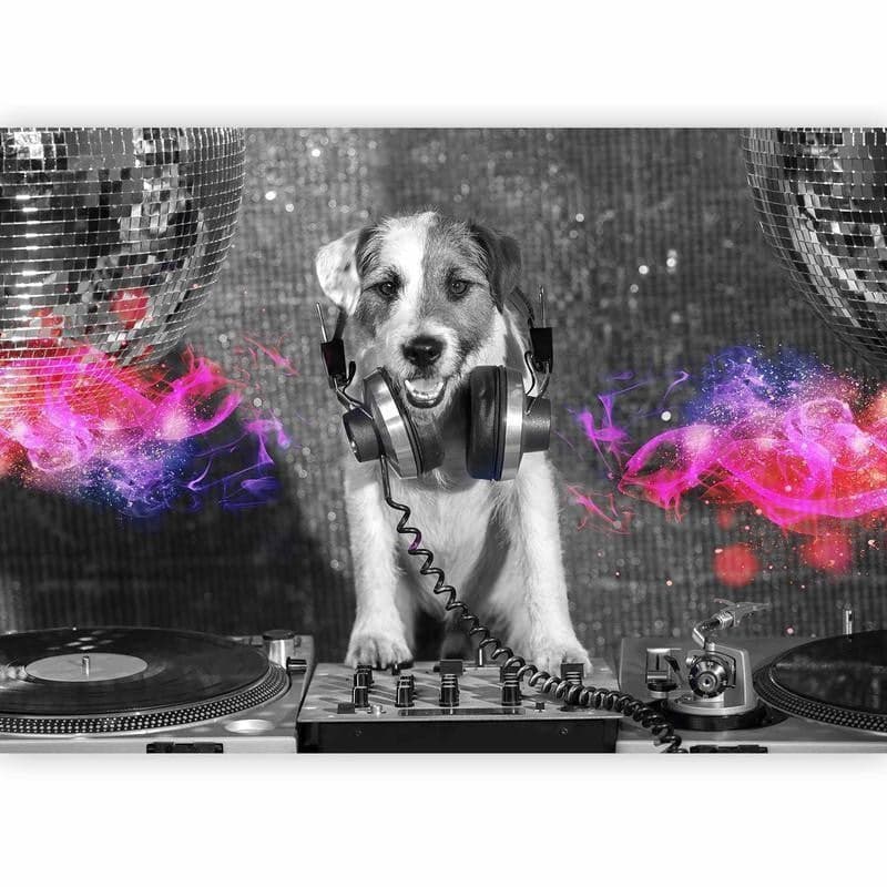 Carta da parati - DJ Dog in Carta da parati Collezione Casa - Trebisacce, commercioVirtuoso.it