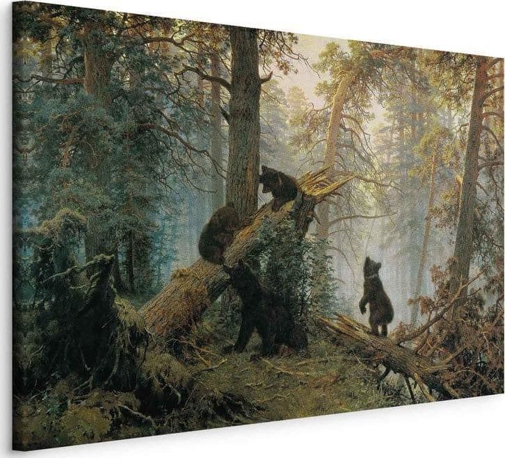 Quadro - Morning in a Pine Forest in Poster e stampe Collezione Casa - Trebisacce, commercioVirtuoso.it