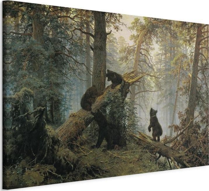 Quadro - Morning in a Pine Forest in Poster e stampe Collezione Casa - Trebisacce, commercioVirtuoso.it