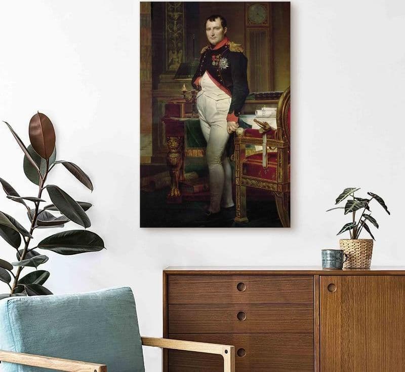 Quadro - Napoleon Bonaparte (Jacques-Louis David) in Poster e stampe Collezione Casa - Trebisacce, commercioVirtuoso.it