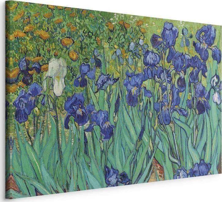 Quadro - Irises - Van Gogh in Poster e stampe Collezione Casa - Trebisacce, commercioVirtuoso.it