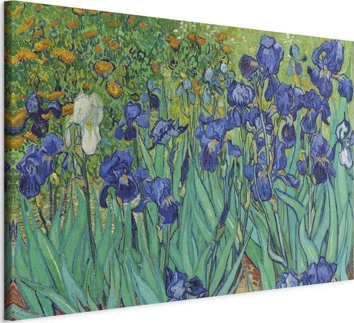 Quadro - Irises - Van Gogh in Poster e stampe Collezione Casa - Trebisacce, commercioVirtuoso.it