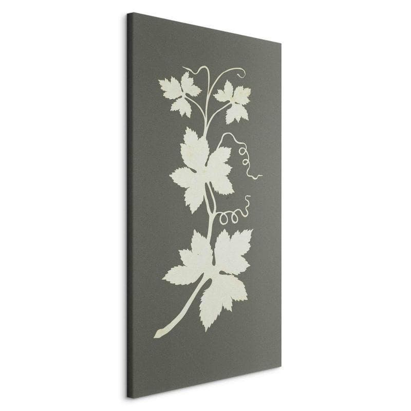 Quadro - Hop plant (Philipp Otto Runge) in Poster e stampe Collezione Casa - Trebisacce, commercioVirtuoso.it