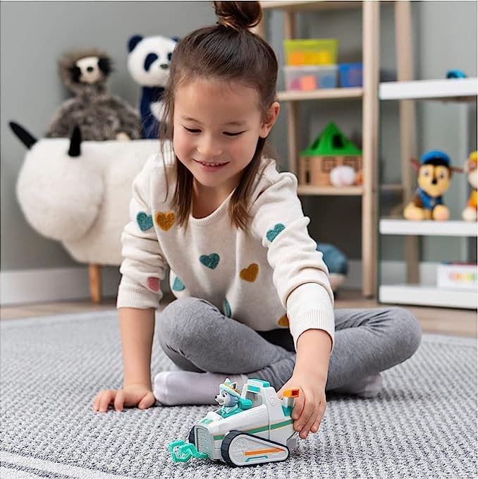 Paw Patrol - Veicolo spazzaneve di Everest in Auto Centro Bimbo - Siderno, commercioVirtuoso.it