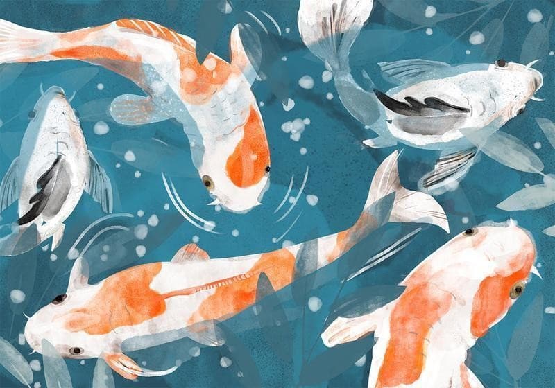 Carta da parati - Koi Fishes - Second Variant in Carta da parati Collezione Casa - Trebisacce, commercioVirtuoso.it