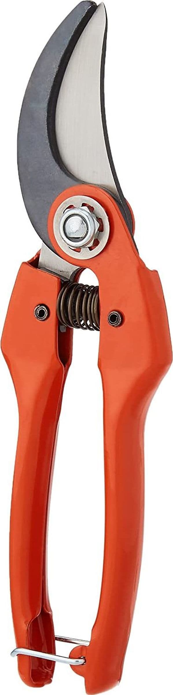 BAHCO FORBICE PER POTARE PRADINES P 126 - cm.22 (P126-22) in prodotto EuroStore07 - Alatri, commercioVirtuoso.it