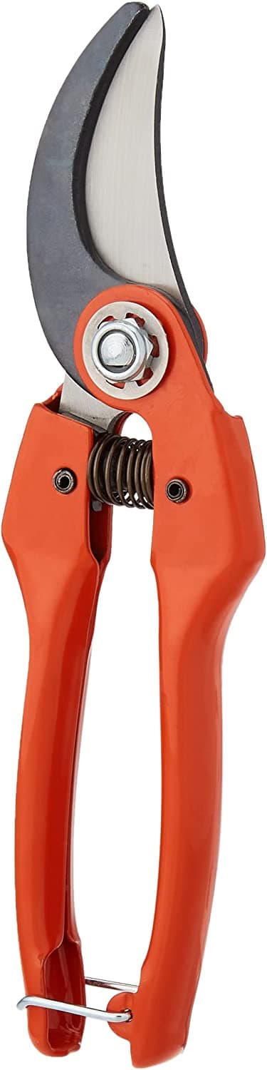 BAHCO FORBICE PER POTARE PRADINES P 126 - cm.22 (P126-22) in prodotto EuroStore07 - Alatri, commercioVirtuoso.it