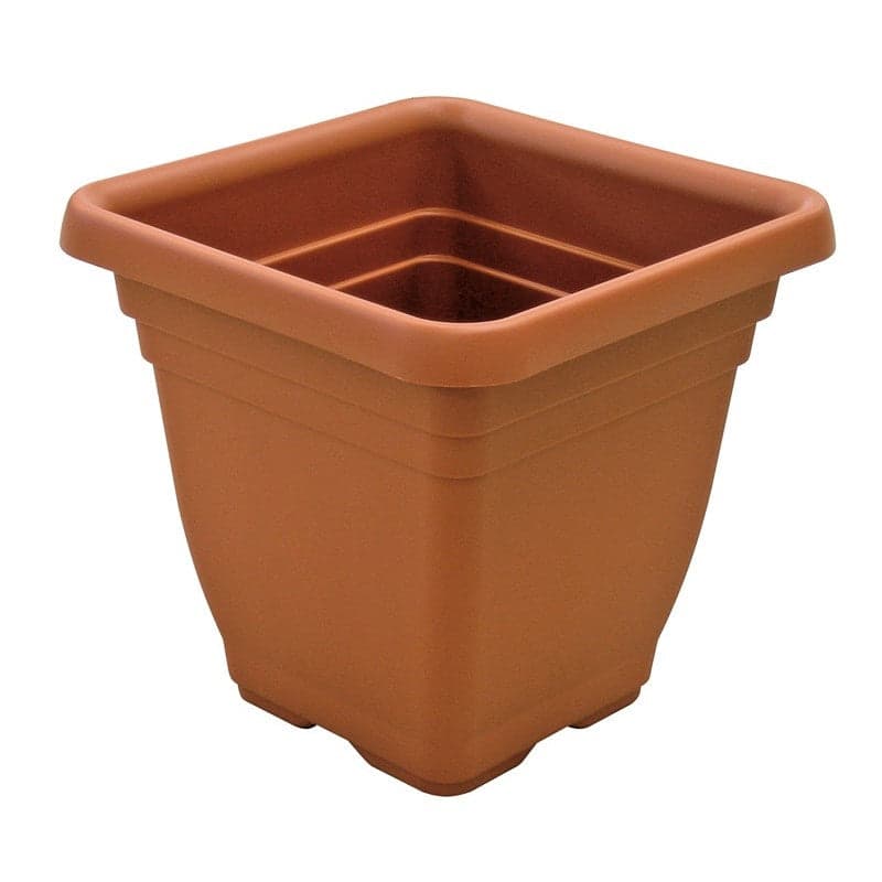 FIORIERA QUADRA IN PLASTICA CM 25 x 25 x 23 SENZA SOTTOVASO DF 612732 in prodotto EuroStore07 - Alatri, commercioVirtuoso.it