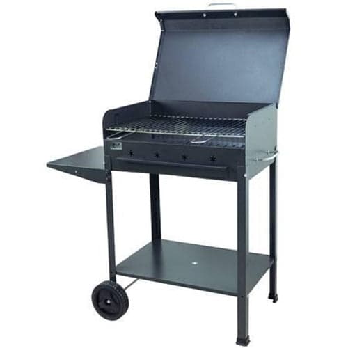 BARBECUE RETTANGOLARE A CARBONELLA "STELLA" CON RUOTE -- - griglia cm.57,5x37 in prodotto EuroStore07 - Alatri, commercioVirtuoso.it