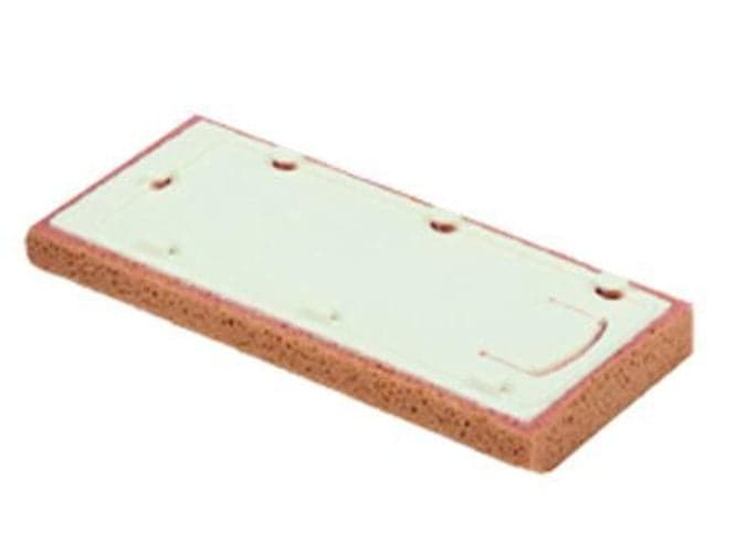 RAIMONDI -- RICAMBIO SPUGNA AVANA CON ATTACCO RAPIDO ART.217RIC in prodotto EuroStore07 - Alatri, commercioVirtuoso.it