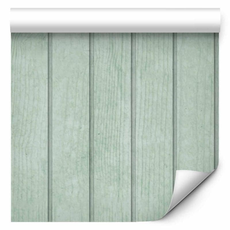 Tappezzeria murale - Delicate Wood - Vertical stripes in a pastel green shade in Carta da parati Collezione Casa - Trebisacce, commercioVirtuoso.it