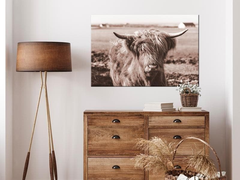 Quadro - A Scottish Cow in Sepia in Poster e stampe Collezione Casa - Trebisacce, commercioVirtuoso.it