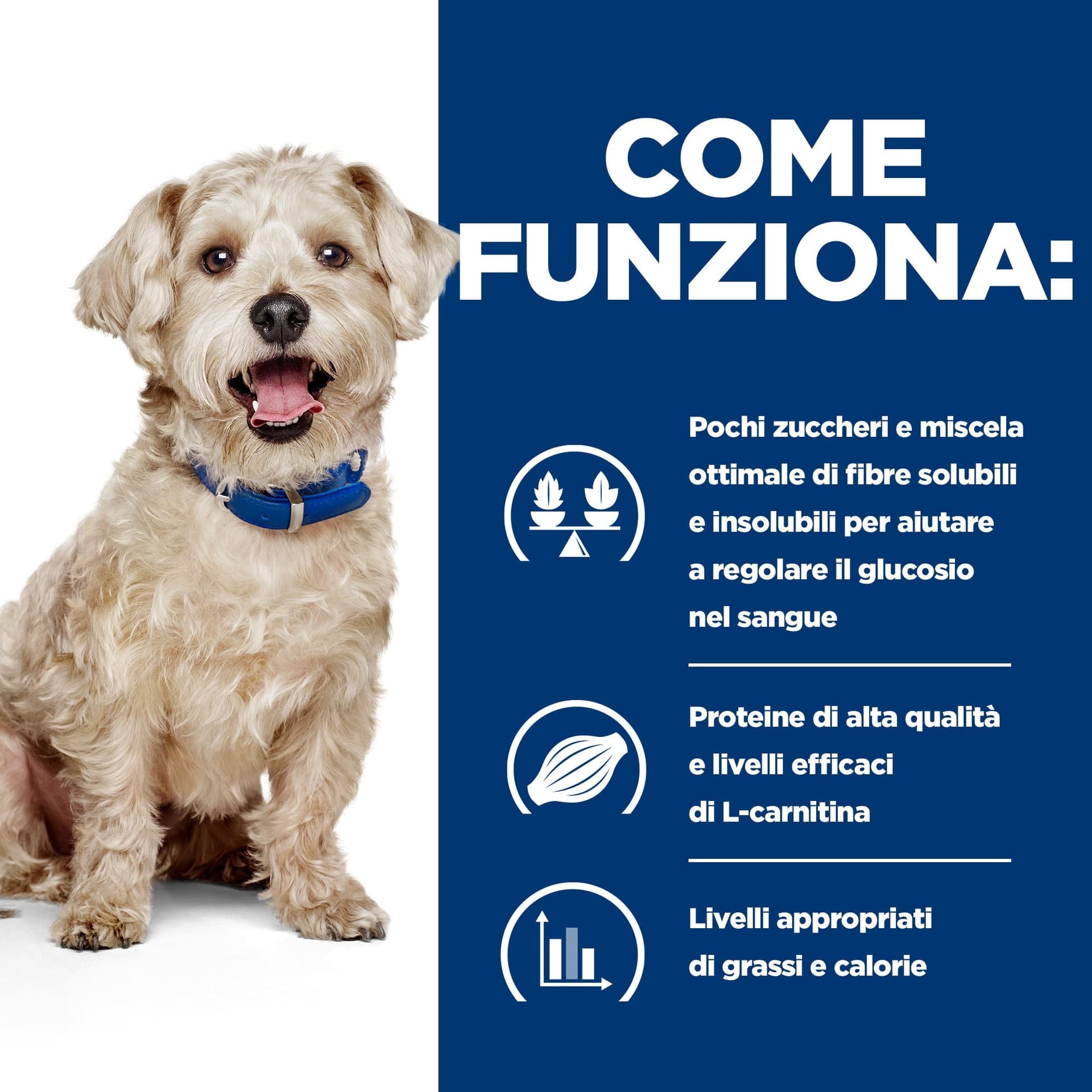 Hill's Prescription Diet Diabetes Care secco Cani Adulti pollo in Secco 101 Market - Poggibonsi, commercioVirtuoso.it