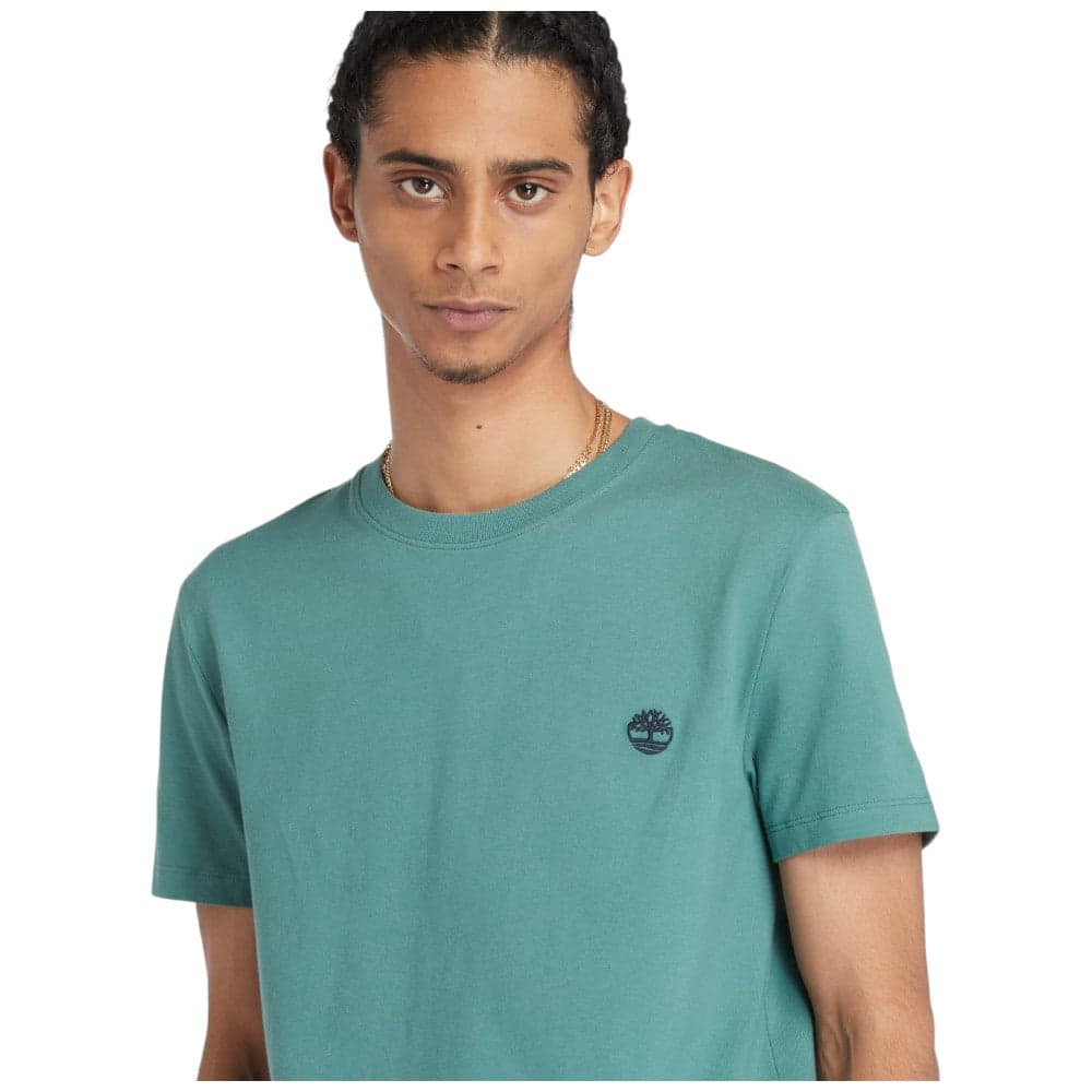 Timberland t-shirt Dunstan River verde acqua TB0A2BPREG5 T-shirt Timberland