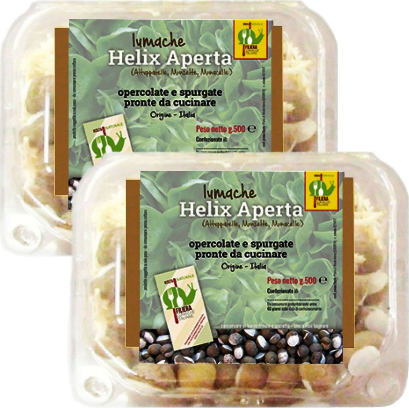 LUMACHE Monacella HELIX APERTA da Gastronomia Spurgate Pronte da Cucinare 100% Italiane + Ricettario Incluso in Lumache Coclè - Piana di Monte Verna, commercioVirtuoso.it