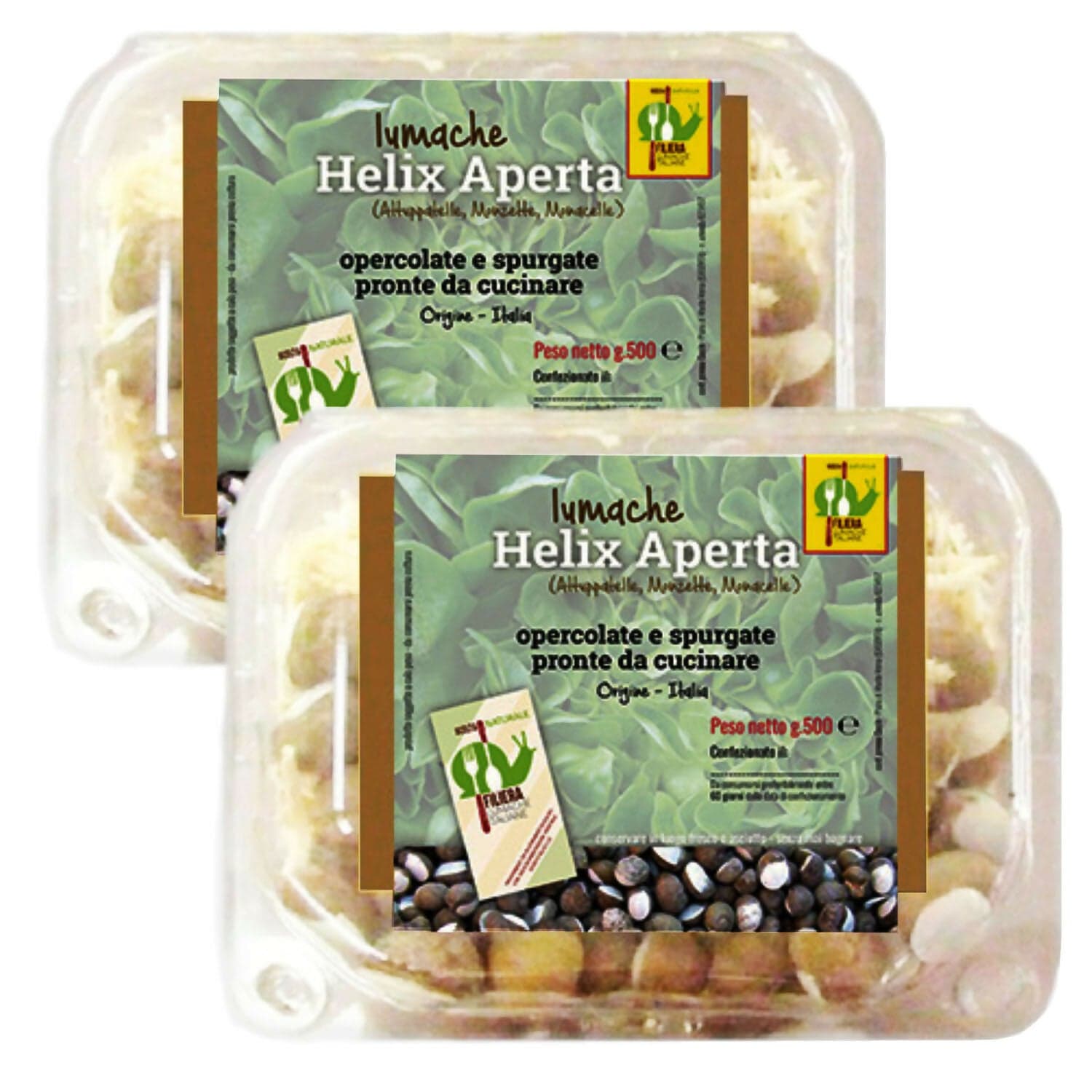 LUMACHE Monacella HELIX APERTA da Gastronomia Spurgate Pronte da Cucinare 100% Italiane + Ricettario Incluso in Lumache Coclè - Piana di Monte Verna, commercioVirtuoso.it