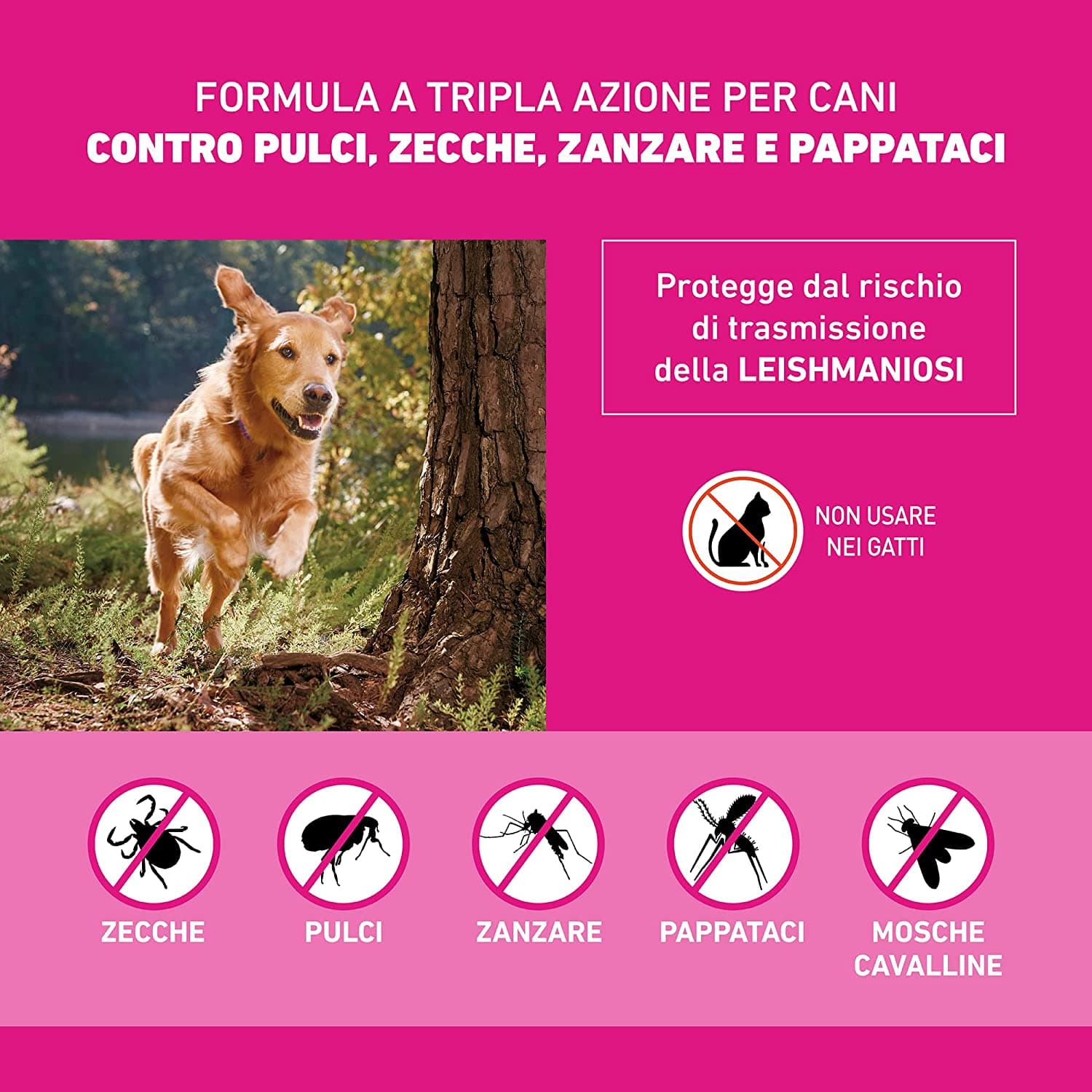 FRONTLINE TRI-ACT SPOT-ON PER CANI "XS" --- da 6 pipette in prodotto EuroStore07 - Alatri, commercioVirtuoso.it