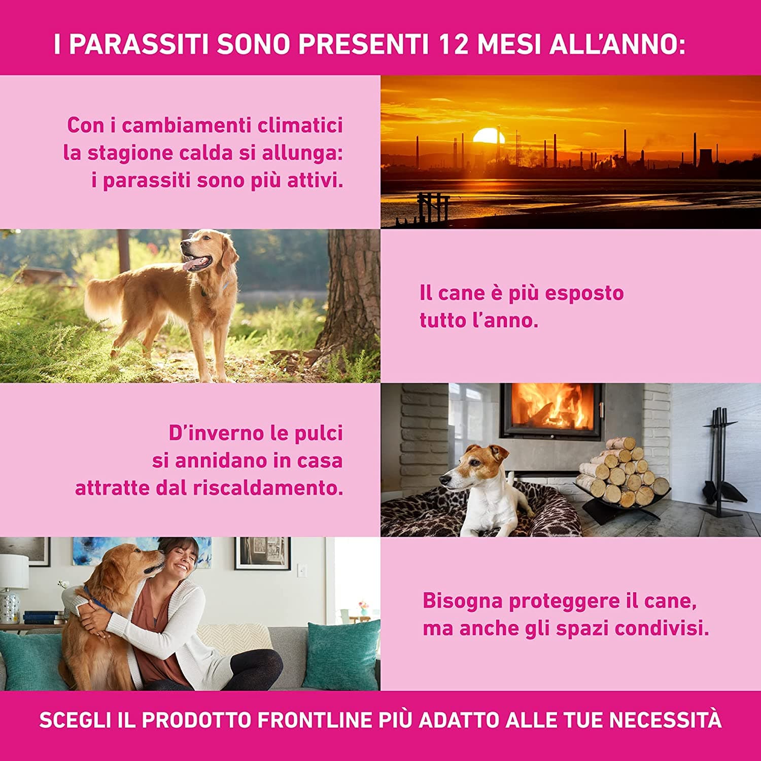 FRONTLINE TRI-ACT SPOT-ON PER CANI "XS" --- da 6 pipette in prodotto EuroStore07 - Alatri, commercioVirtuoso.it