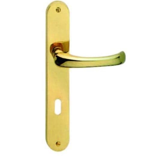 MANIGLIA RIO CON PLACCA IN OTTONE LUCIDO - quadro maniglia mm.8 - mm.70 in prodotto EuroStore07 - Alatri, commercioVirtuoso.it