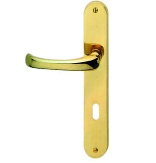 MANIGLIA RIO CON PLACCA IN OTTONE LUCIDO - quadro maniglia mm.8 - mm.70 in prodotto EuroStore07 - Alatri, commercioVirtuoso.it