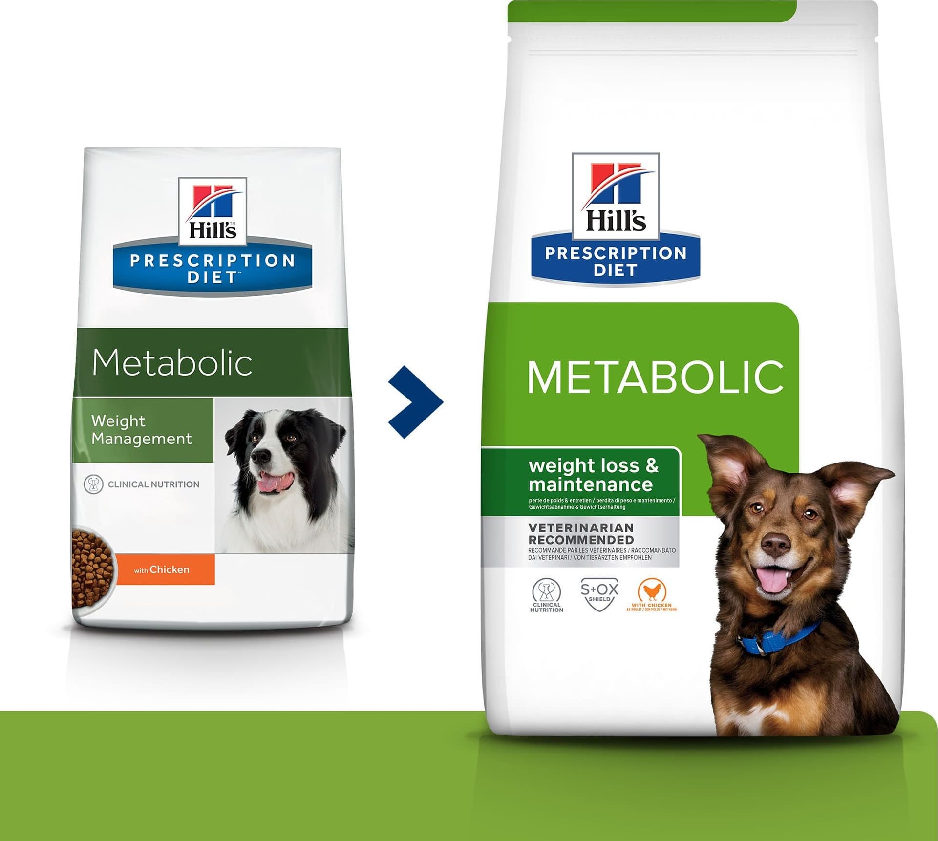Hill's Prescription Diet Metabolic secco Cani Adulti pollo in Secco 101 Market - Poggibonsi, commercioVirtuoso.it
