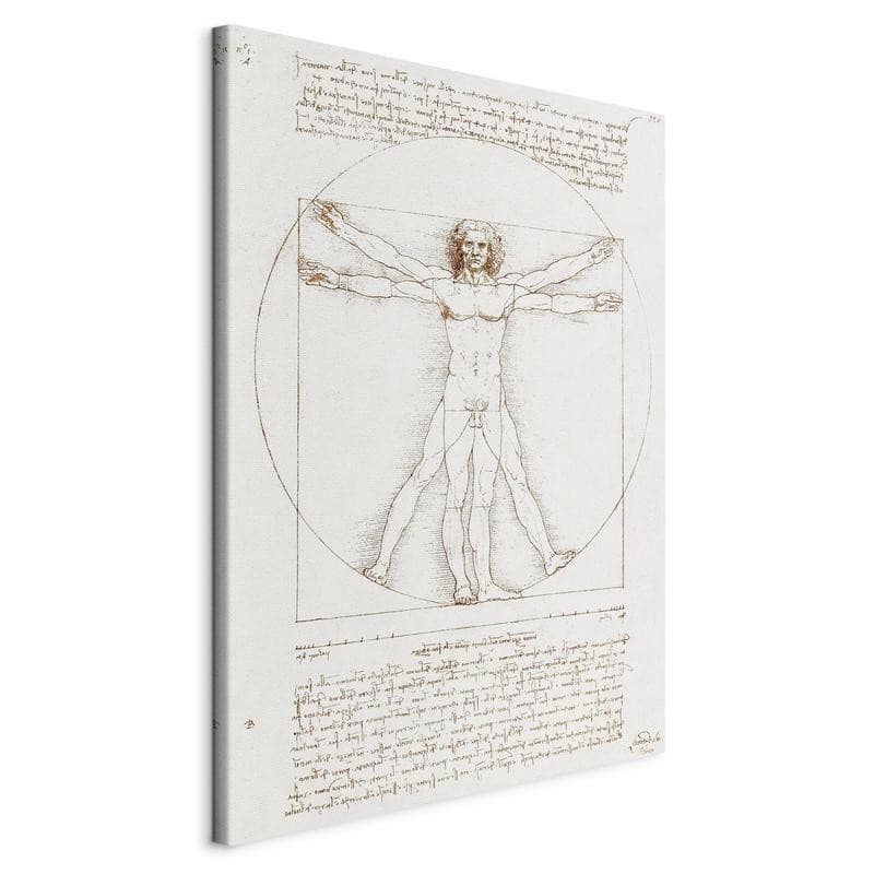Quadro - Vitruvian Man (Proportions of the human body according to Vitruvius) in Poster e stampe Collezione Casa - Trebisacce, commercioVirtuoso.it