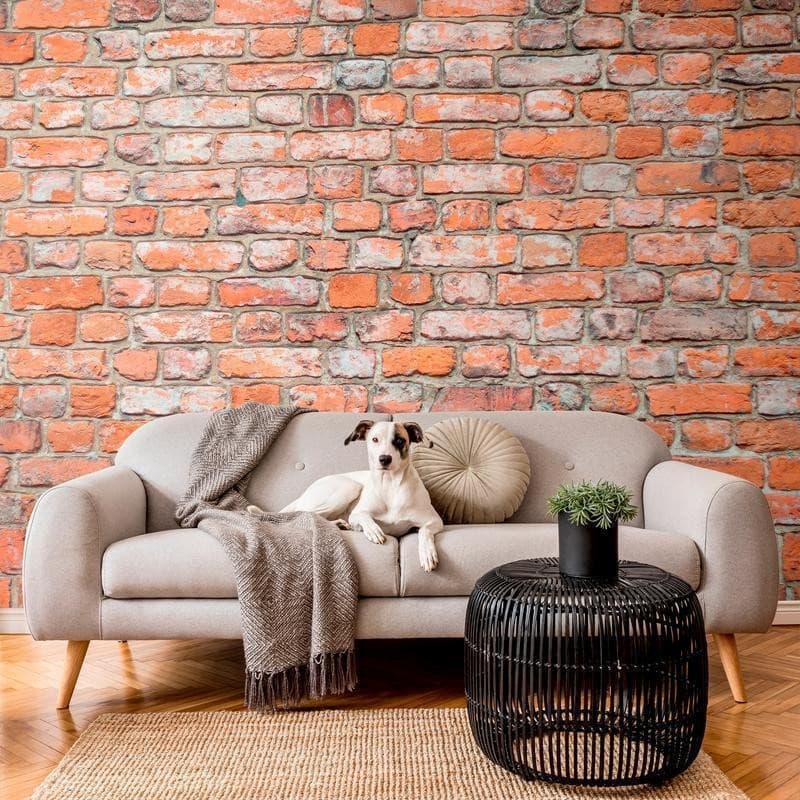 Carta da parati - Loft Wall - Pattern Imitating an Old Red Brick in Carta da parati Collezione Casa - Trebisacce, commercioVirtuoso.it