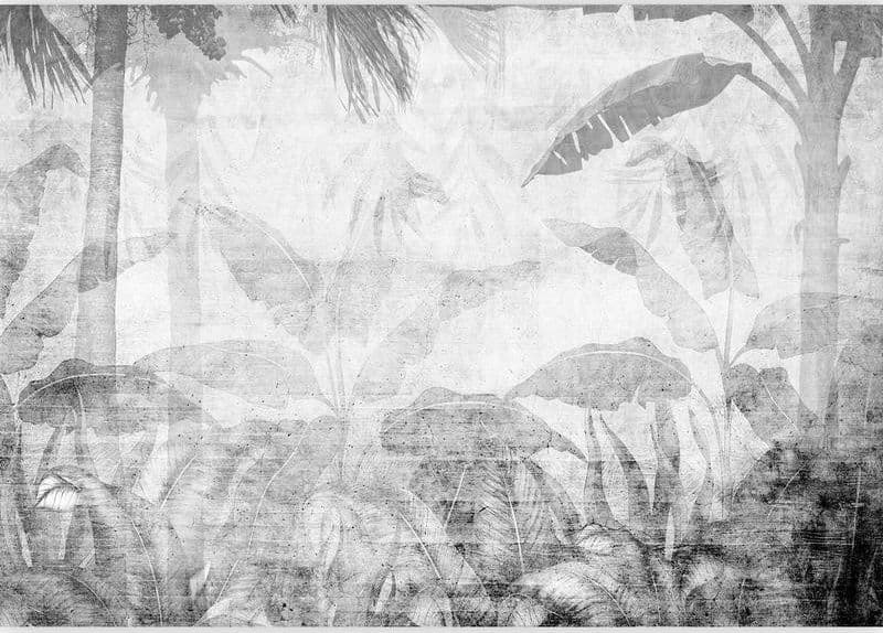 Carta da parati - Vanishing jungle - landscape of exotic trees and leaves in grey tones in Carta da parati Collezione Casa - Trebisacce, commercioVirtuoso.it